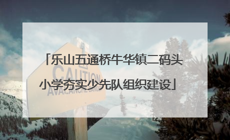 乐山五通桥牛华镇二码头小学夯实少先队组织建设